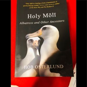 Holy Molí paperback.